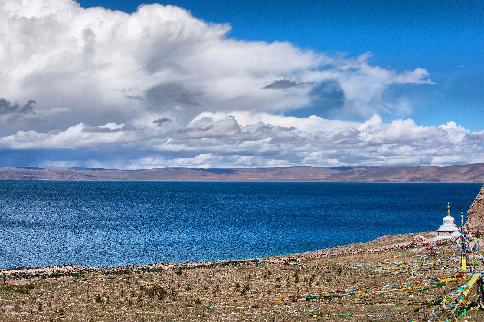 高原之梦，藏韵舞台演绎心灵深处