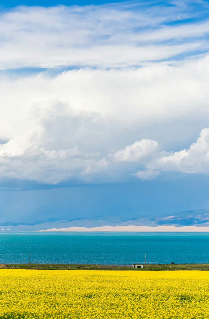 高原绿韵，青海绿色发展新典范