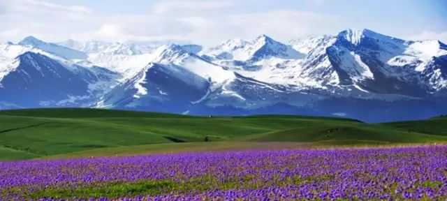 丝路明珠，新疆多彩画卷展映